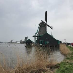 Meet your Posher, Carla